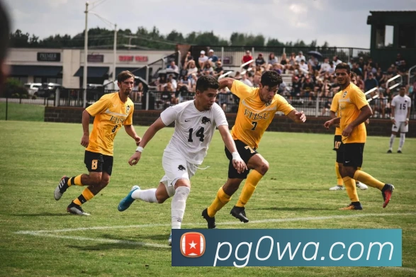 多媒体互动体验